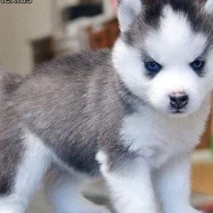 Meet your Posher, Claudette